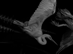 PENTACON50㎜ F1.8 MC