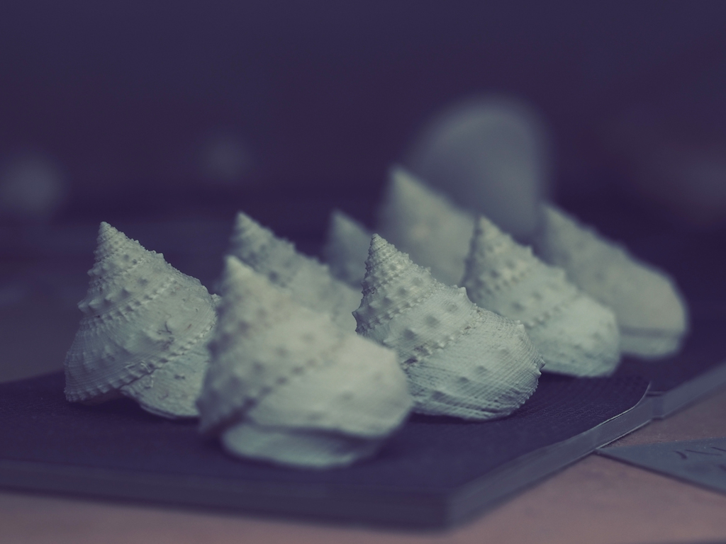 PENTACON50㎜ F1.8 MC