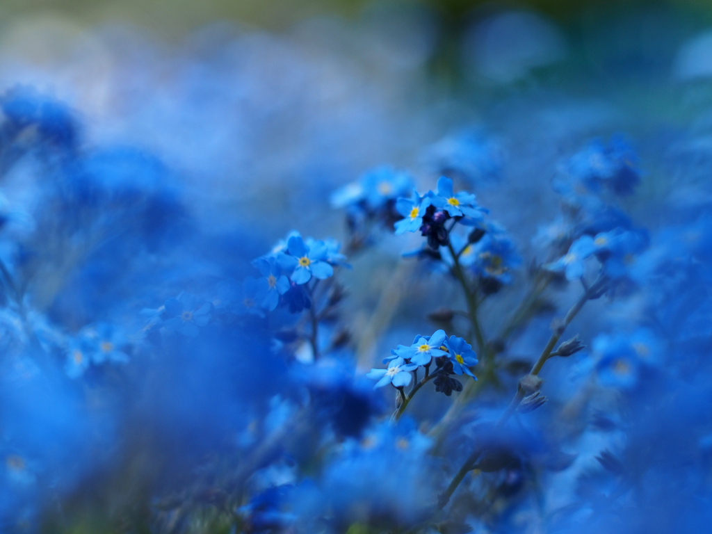 PENTACON50㎜ F1.8 MC