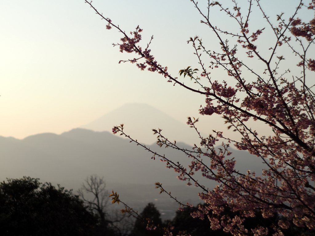 PENTACON50㎜ F1.8 MC