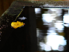 Sonnar135㎜ F4 エキザクタマウント