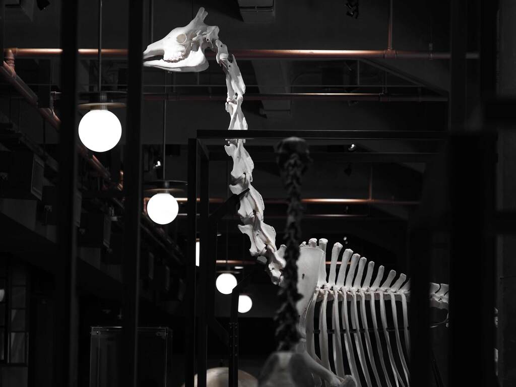INTERMEDIATHEQUE