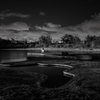 親水公園の夜