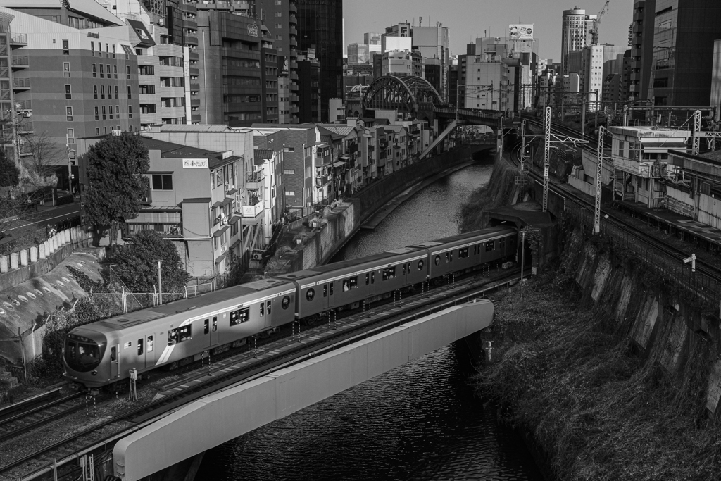 みんな撮ってる赤いやつ
