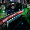 電車が三両
