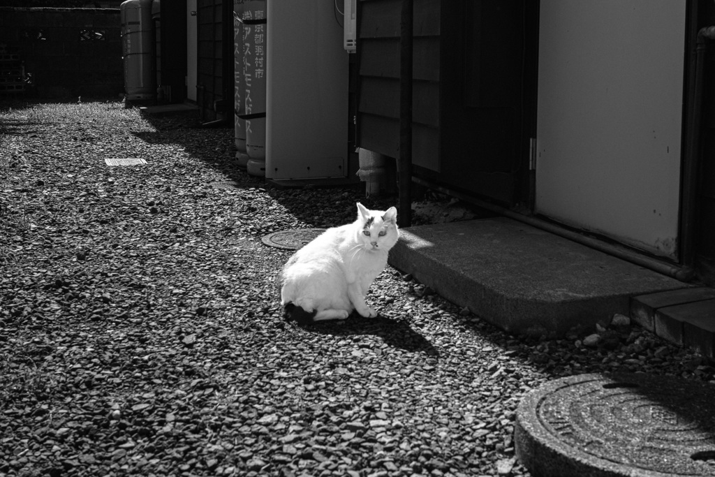 なんだよ