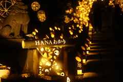 HANAあかり1