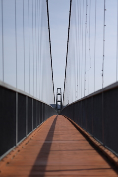 橋