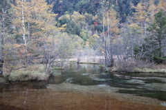 上高地 田代池