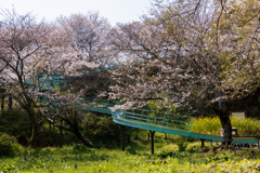 二宮吾妻山 ローラーコースター