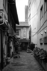 路地裏