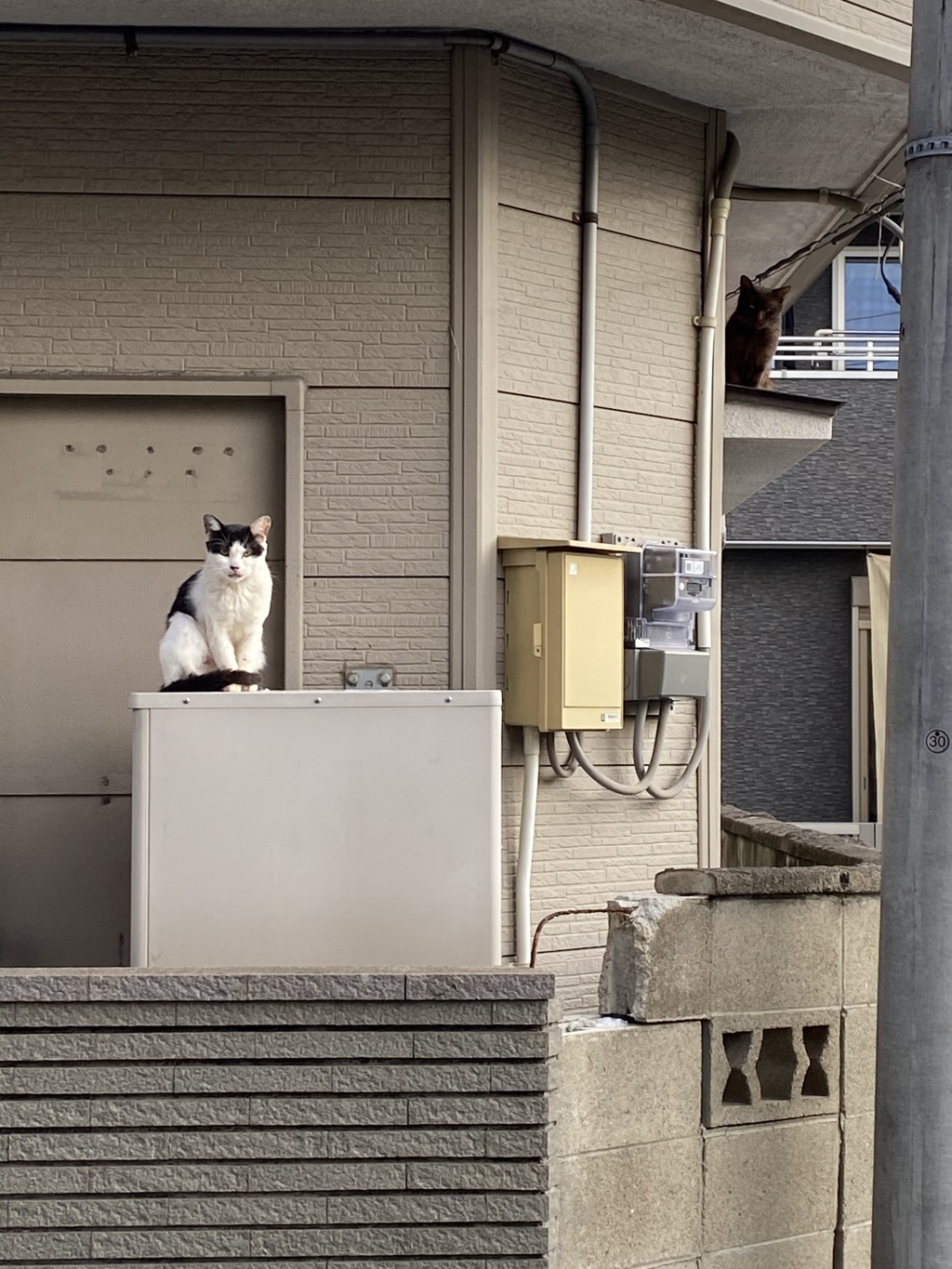 電気温水器の上は温かい。