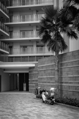 海辺のマンション