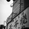 鳩