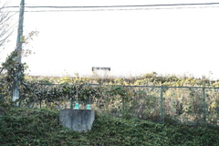 兄弟