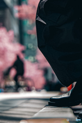 春うらら