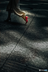 A Moment of Light