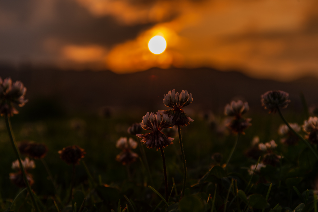 夕陽