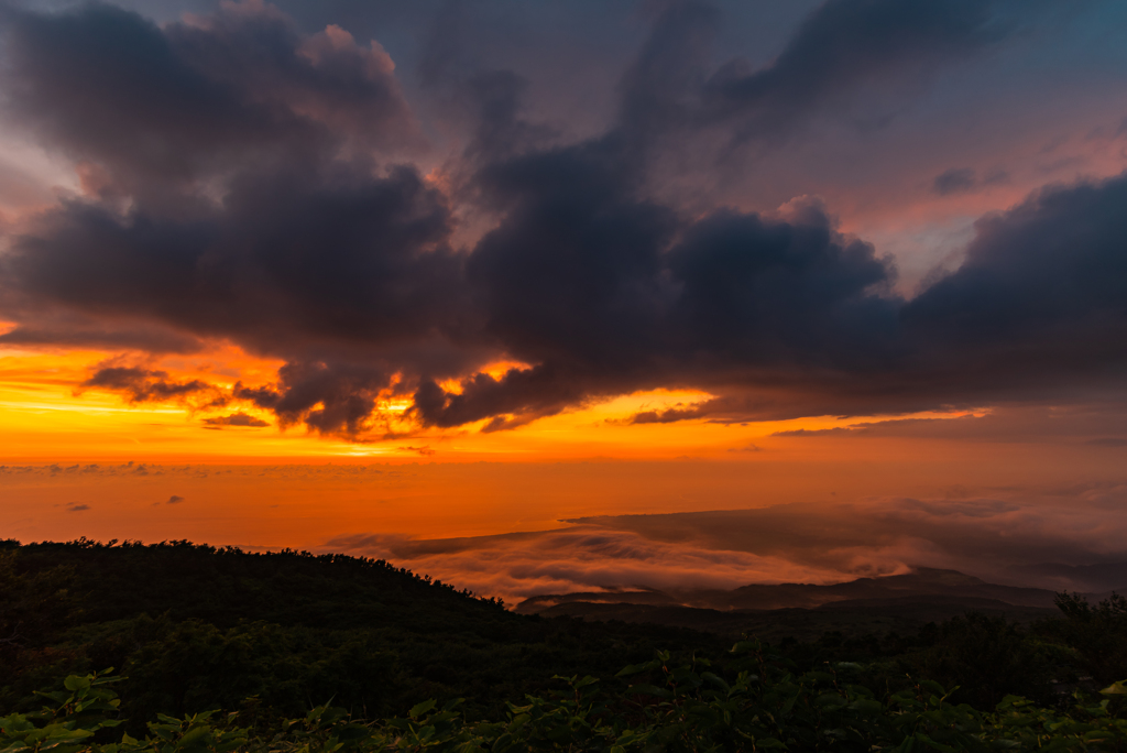 夕焼けに染まる雲海