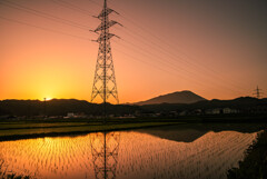 夕焼けに染まる水田