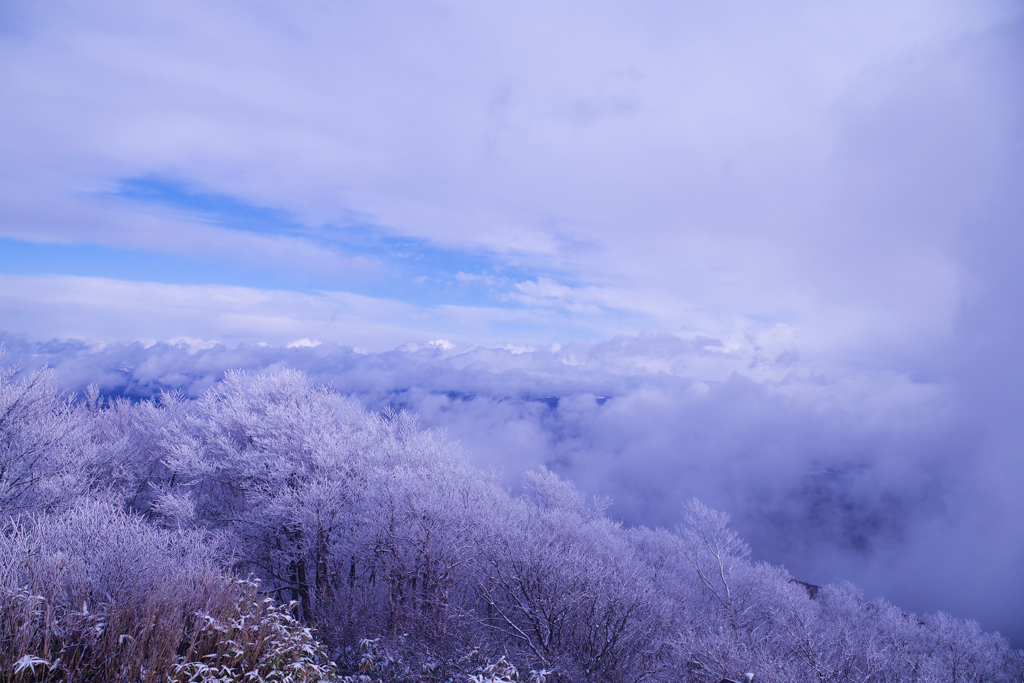 ※蔵出し　姫神山 霧氷と雲海