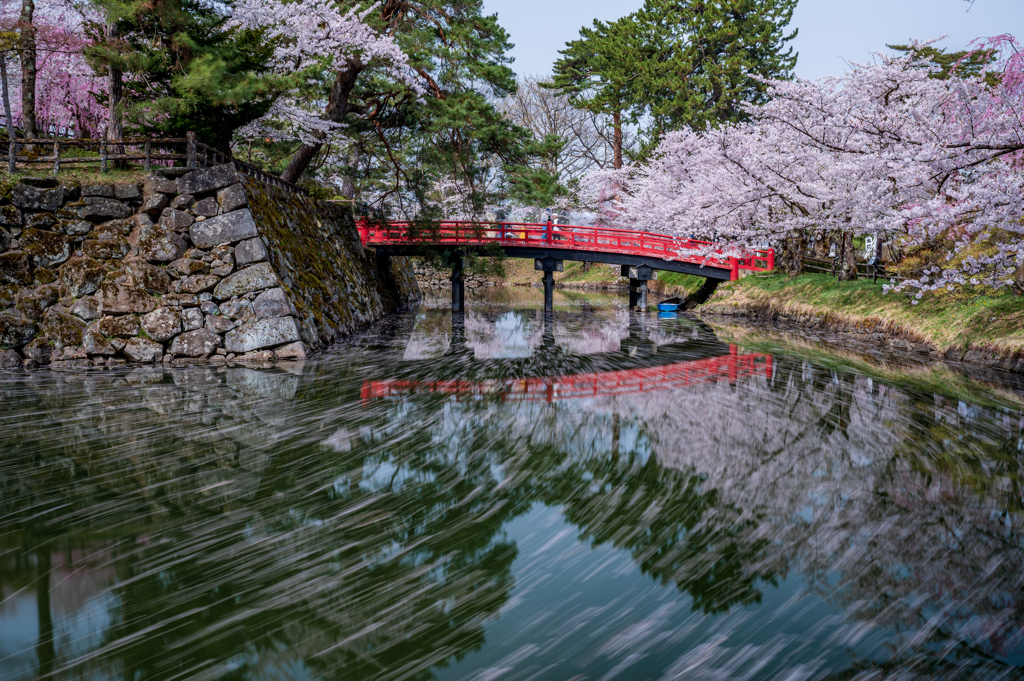 花びらの軌跡