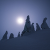 月夜の樹氷