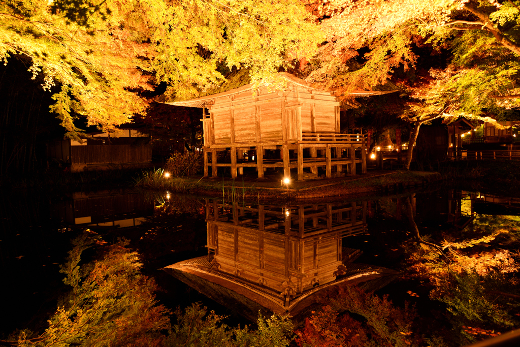 世界遺産平泉　中尊寺弁財天堂　 水面に輝く弁財天堂と紅葉