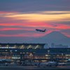 夕暮れの羽田空港