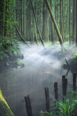 牛渡川