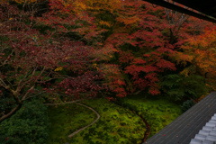 瑠璃光院