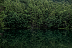新緑の水鏡