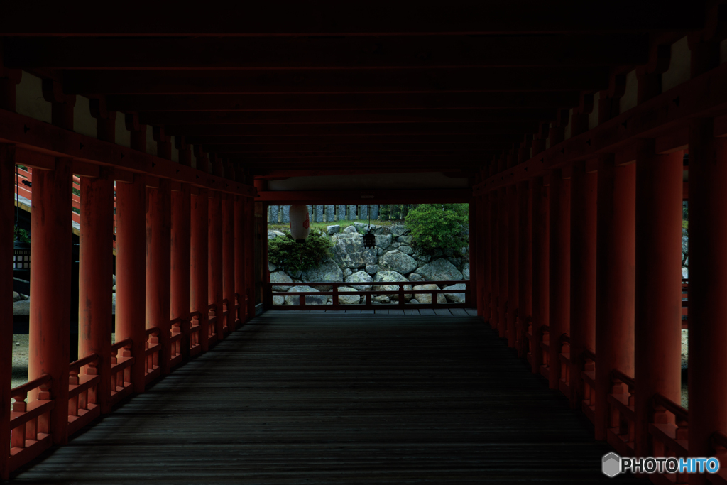_MG_5284-1