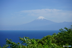 出逢い岬からの富士