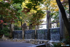 蚕糸の森　大滝