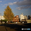 今年も終盤