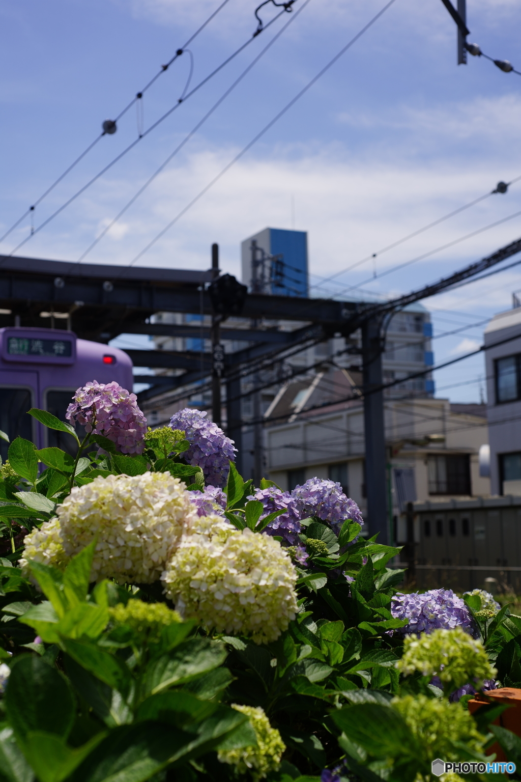 井の頭線　西永福