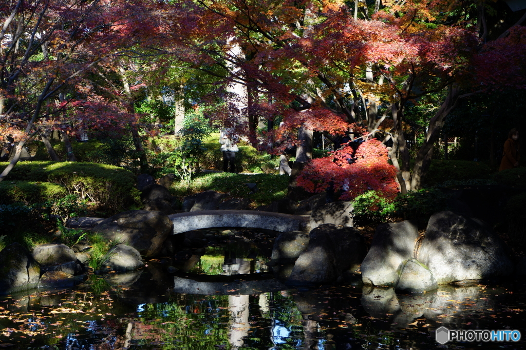 庭園の秋