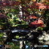 庭園の秋