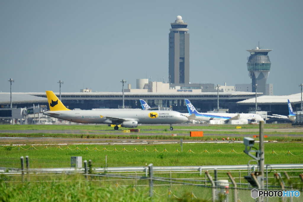 空飛ぶクロネコ宅急便