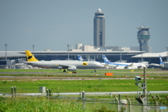 空飛ぶクロネコ宅急便