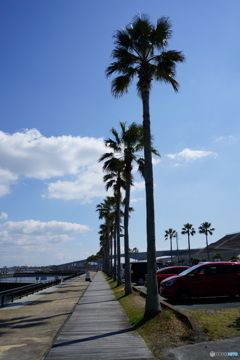 アロハ　新居弁天