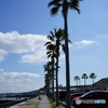 アロハ　新居弁天