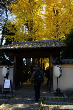 大田黒公園