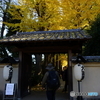 大田黒公園