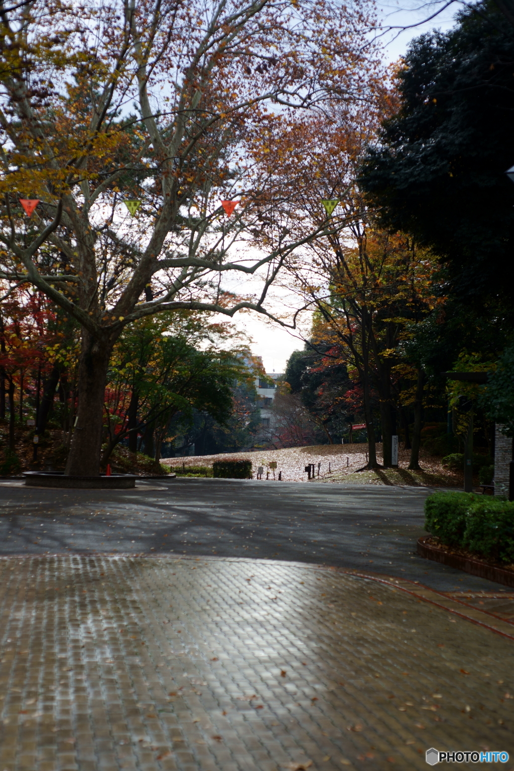 雨上がりの公園