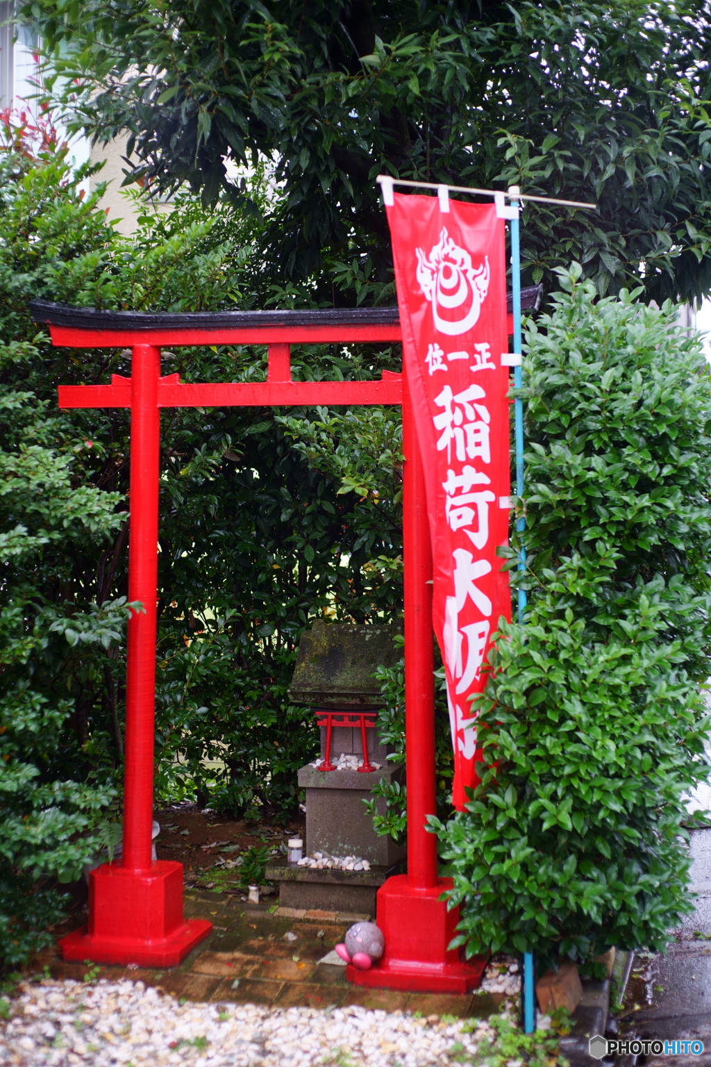 雨の稲荷社