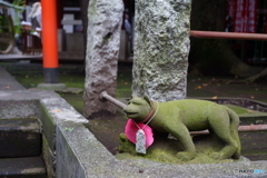 苔むす眷属