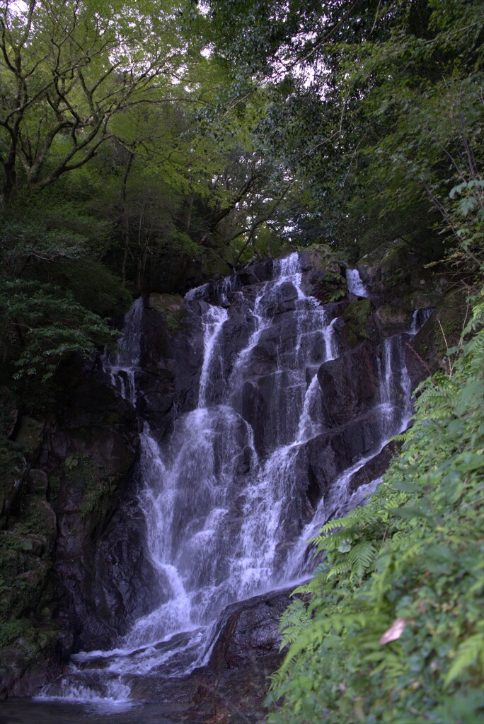 白糸の滝