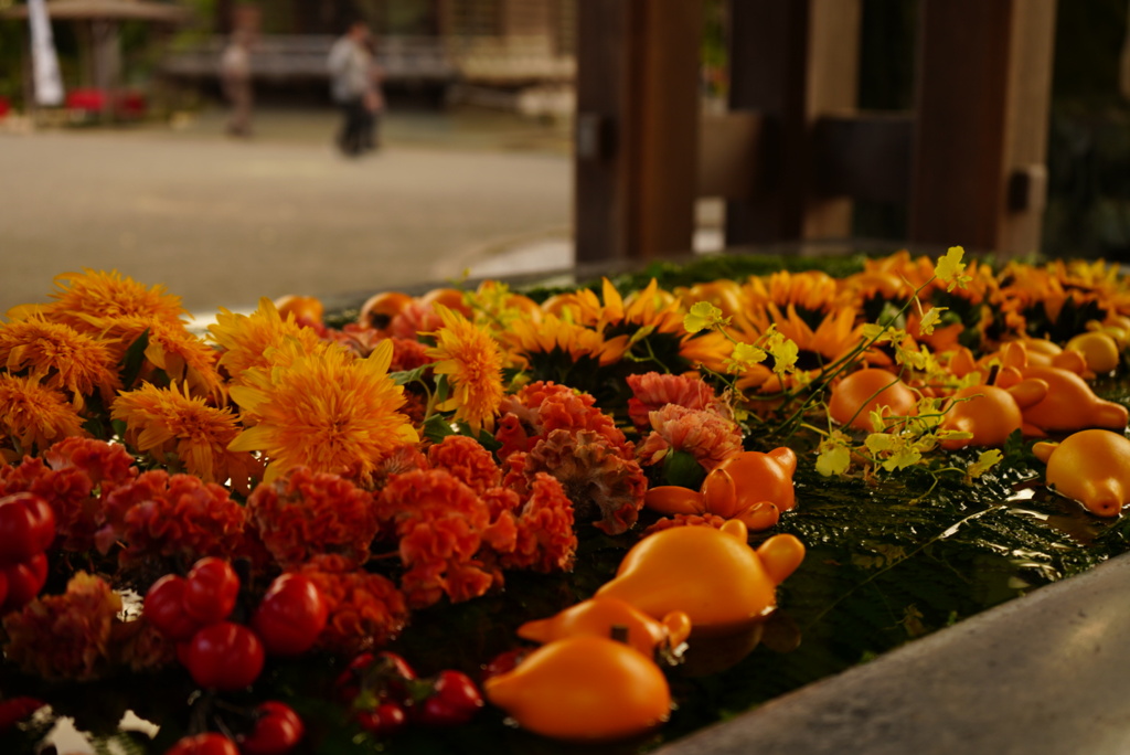 宮地嶽神社